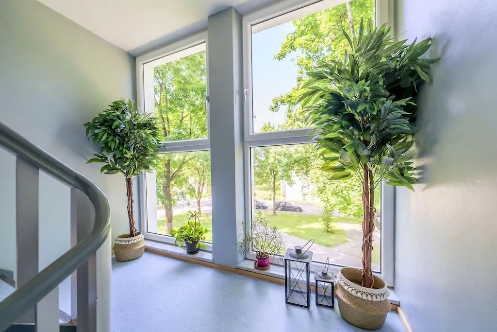 Apartment 1Og Mitte Schoene 2-Zimmer City Wohnung Naehe Salzburg Freilassing